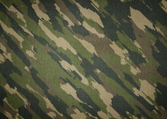 Camouflage cloth texture. Abstract background and texture for design. © Cornflowerz