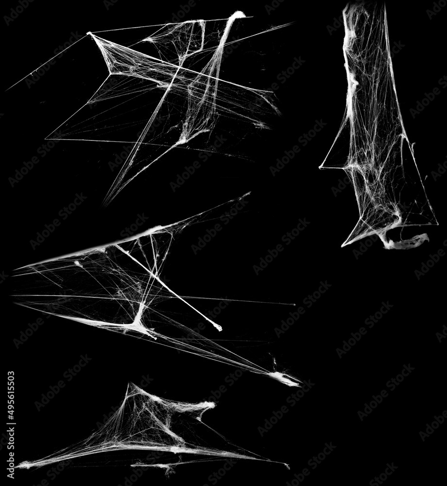 Wall mural overlay the cobweb effect. a collection of spider webs isolated on a black background. spider web el