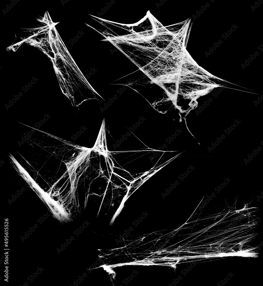Wall mural overlay the cobweb effect. a collection of spider webs isolated on a black background. spider web el
