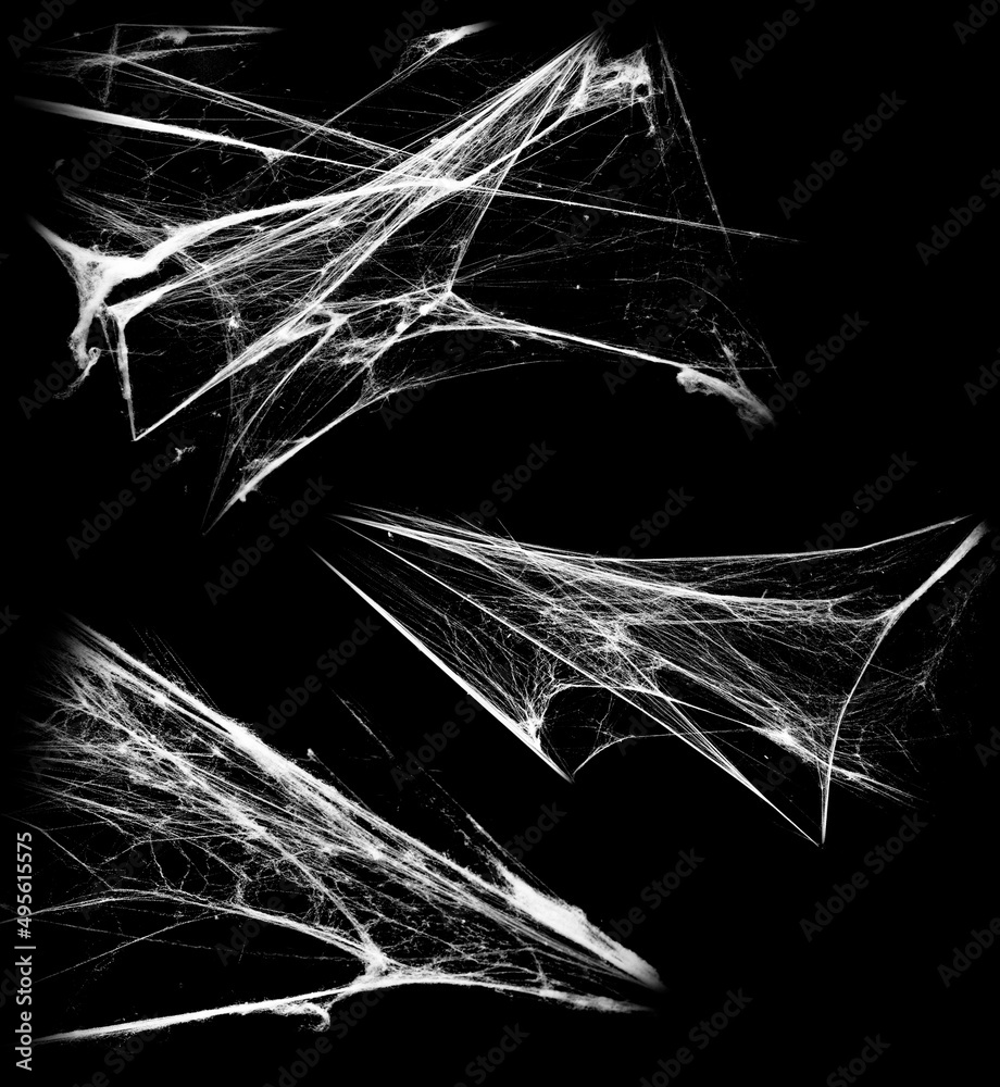 Wall mural overlay the cobweb effect. a collection of spider webs isolated on a black background. spider web el