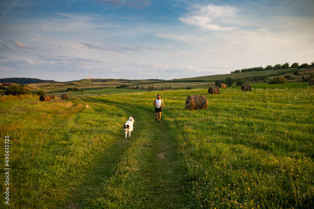 Wall mural man running with his dog at sunset healthy active lifestyle