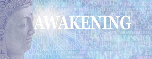 Wall Art Buddhism Words associated with Awakening - pale blue side facing Buddha head next to a...