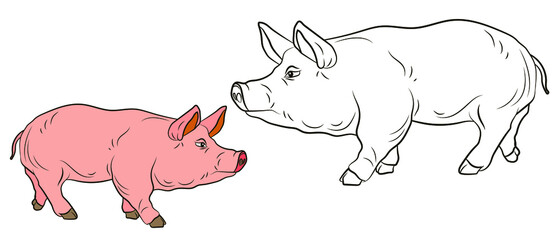 A pet, a pig. Black and white and color image. Coloring book for children. Vector drawing.