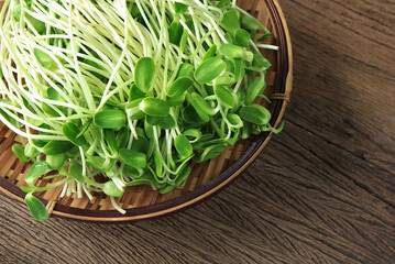 green young sunflower sprouts, sunflower microgreen on wooden background. vegetarian food,Top view 