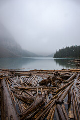 Fototapeta na wymiar A view with logs in Moraine Lake, Canada on a foggy snowy day.