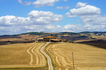 Obraz premium Rural landscape along the Cassia near Castiglione, Tuscany