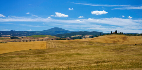 Fototapeta na wymiar Rural landscape along the Cassia near Castiglione, Tuscany