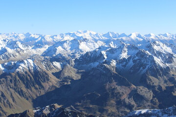 Naklejka premium pyrenees