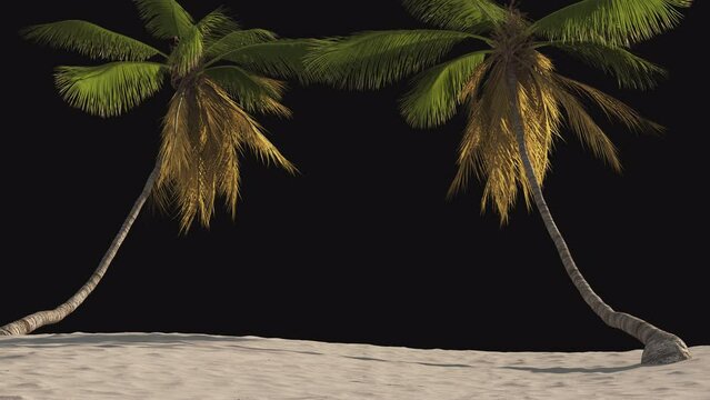 Billet, screensaver beach with tropical palm trees on a transparent background. 