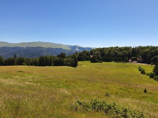 Fototapeta premium landscape in the summer