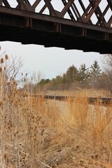 Fototapeta na wymiar bridge over railroad 