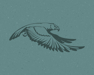 Eagle flying logo emblem template mascot symbol for business or shirt design. Vector vintage design element. - obrazy, fototapety, plakaty