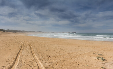 Fototapeta na wymiar Tyre tracks on the sand of the beach - vast empty beach