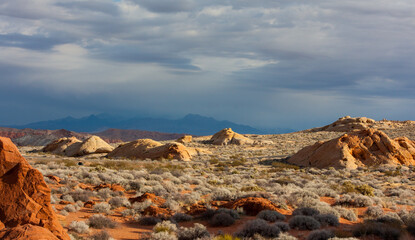 Landscape of a rocky mountain desert with dry bushes and big rocks under the dark cloudy sky