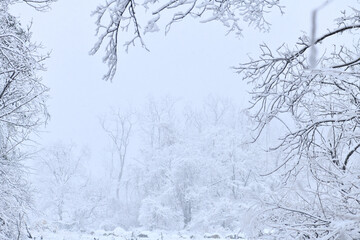 korea Mount Seorak Seoraksan winter snowy snow scene scenery nature fallen winter scenery