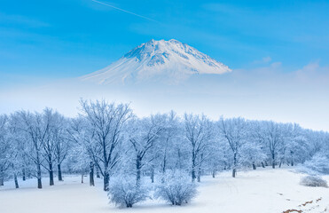 Beautiful winter landscape with snow covered trees, Snowy mountains in the background