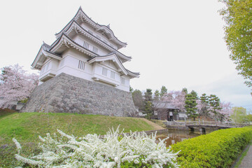 春の花がきれいに咲いているお城