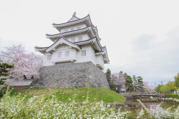 サクラがきれいな春の忍城