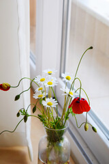 flowers, a bouquet of daisies, chamomile and poppy on the background of the window
