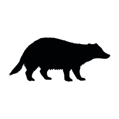 Plakat Vector hand drawn badger silhouette isolated on white background