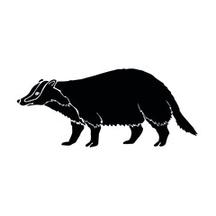 Vector hand drawn doodle sketch black badger isolated on white background