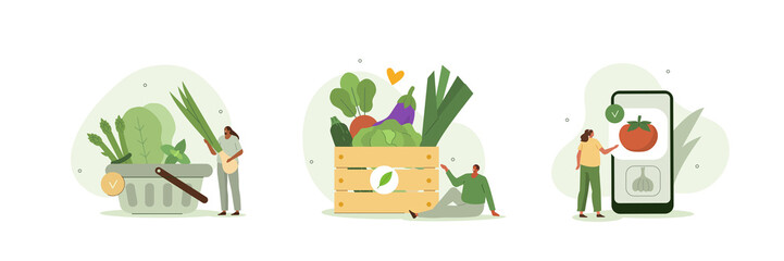Grocery vegetables illustration set. Character buying online fresh organic vegetables, putting in shopping basket and veggie box delivery. Local production support concept. Vector illustration.
