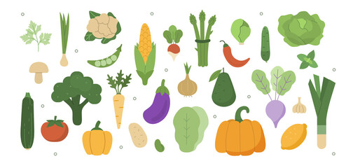 Vegetables illustration set. Cabbage, broccoli, lettuce and other fresh organic vegetables. Balanced vegetarian and vegan diet concept. Vector illustration.