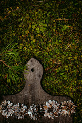Composition with dark cutting board, spruce tree branch and fir cones on green plant background