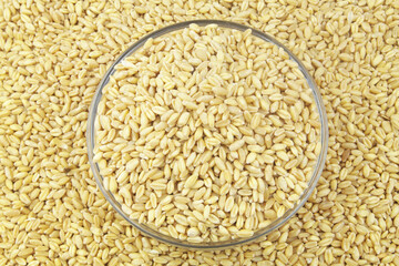 Bowl with wheat grains on wheat background, top view.	
