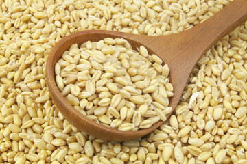 Wheat seeds and wooden spoon 
