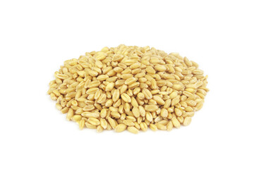 Wheat grains isolated on white background