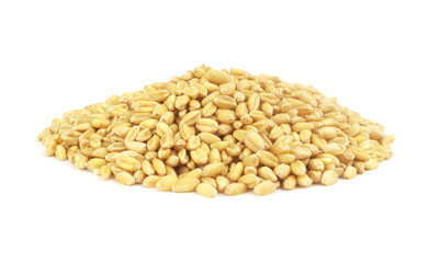 Wheat grains isolated on white	