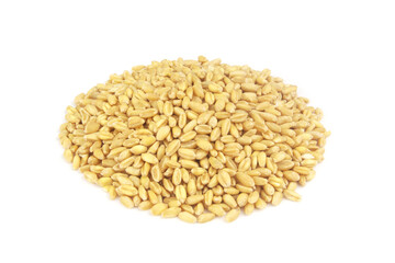Heap of wheat seeds isolated on white 