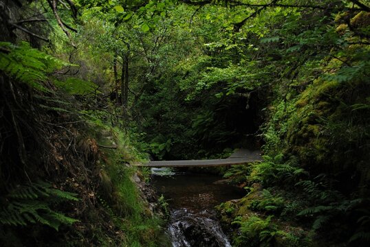 Hidden corner with a bridge in the  nature.