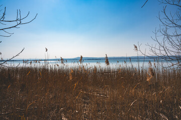 See, Landschaft, Schilf, Seeufer, Himmel, Ammersee, Bayern, Deutschland