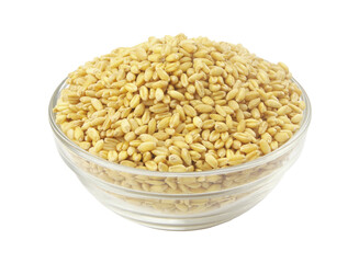Wheat grains in bowl isolated on white background