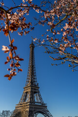 Fototapeta na wymiar Paris Monument 1453