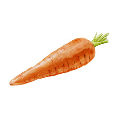 Carrot watercolor illustration on black background
