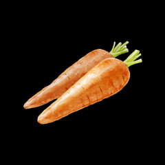 Carrot watercolor illustration on black background