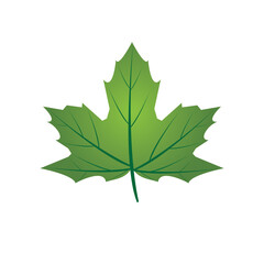 leaf logo vector template symbol design and icon