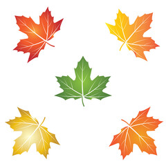 leaf logo vector template symbol design and icon