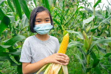Children learning and working in corn or maize organic farm in countryside