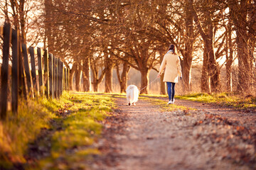 Rear View Of Woman With Prosthetic Hand Walking Pet Dog Through Winter Or Autumn Countryside