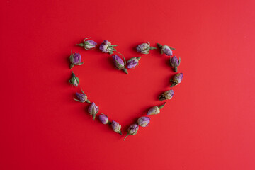 Heart of flowers on a red background.
