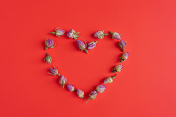 Obraz premium Heart of flowers on a red background.