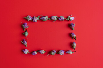 Frame of flowers on a red background. Layout for text.