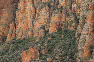 Spring landscape of the Superstition Wilderness Area,  Apache Trail, Tonto National Forest, Arizona, USA