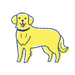 こちらを見ているゴールデンレトリバー