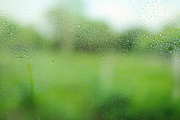 Concept. Water droplets on glass with blurry plants on the background.