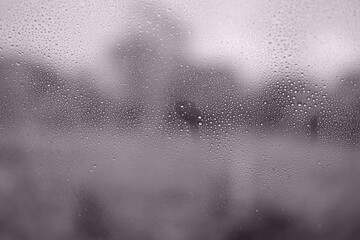 Concept. Water droplets on glass with blurry plants on the background.